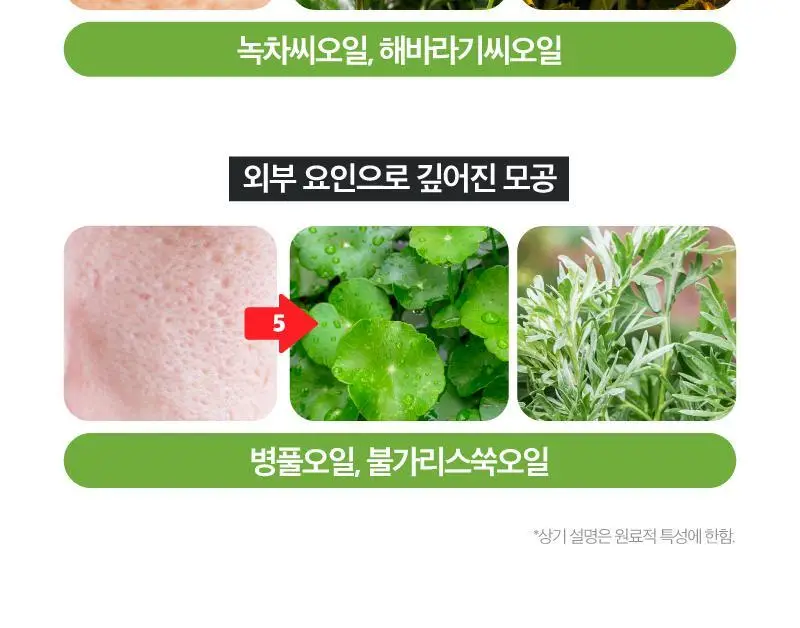 [모공개선] 리덴스 청포도 포어 스케일링 클렌징오일 200mL 상세페이지 16